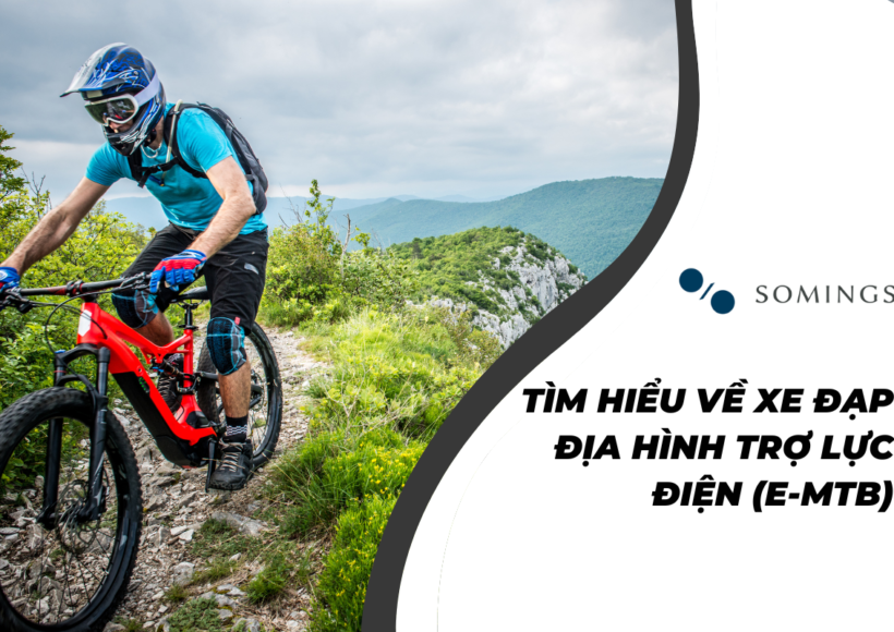 Tìm hiểu về xe đạp địa hình trợ lực điện (e-MTB)