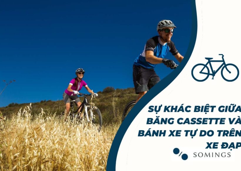 Sự khác biệt giữa băng cassette và bánh xe tự do trên xe đạp