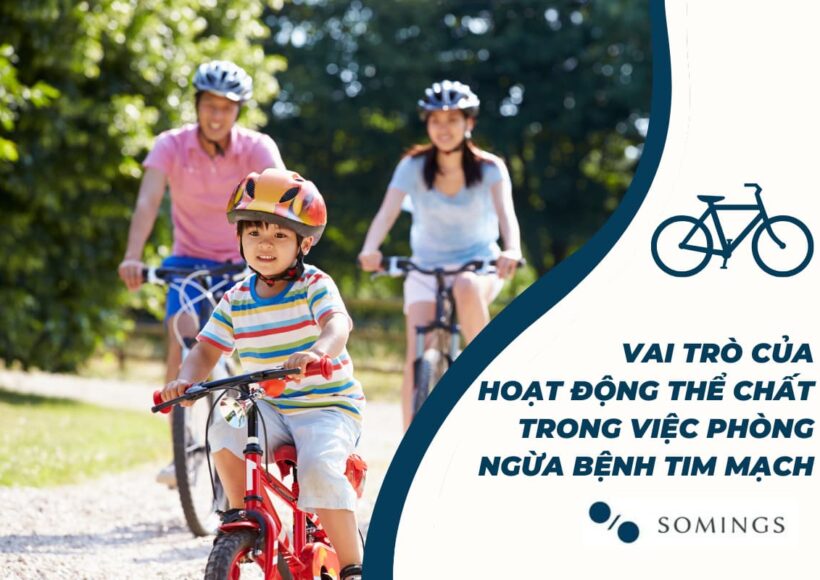 Vai trò của hoạt động thể chất trong việc phòng ngừa bệnh tim mạch