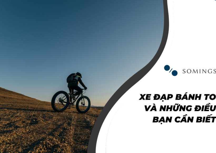 Xe đạp bánh to và những điều bạn cần biết
