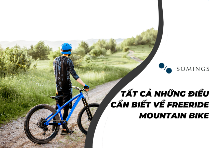 Tất cả những điều cần biết về Freeride Mountain Bike