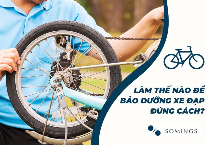 Làm thế nào để bảo dưỡng xe đạp đúng cách?