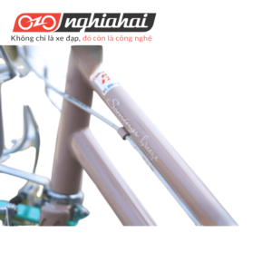 Xe đạp thể thao BREEZE ( Xám nâu)