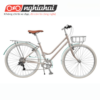 Xe đạp thể thao BREEZE ( Xám nâu)