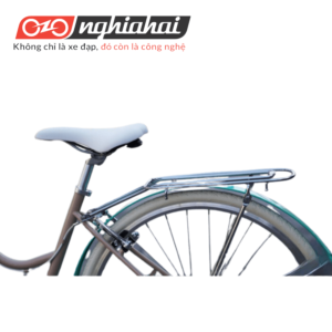 Xe đạp thể thao BREEZE ( Xám nâu)