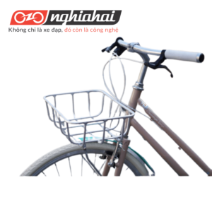 Xe đạp thể thao BREEZE ( Xám nâu)