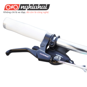 Xe đạp thể thao BREEZE ( Xám nâu)
