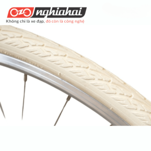 Xe đạp thể thao BREEZE ( Xám nâu)