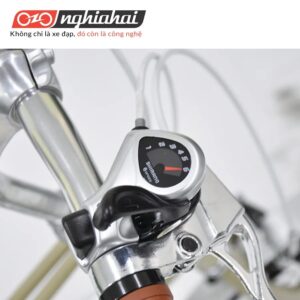 Xe đạp thể thao Triangle MX (10)