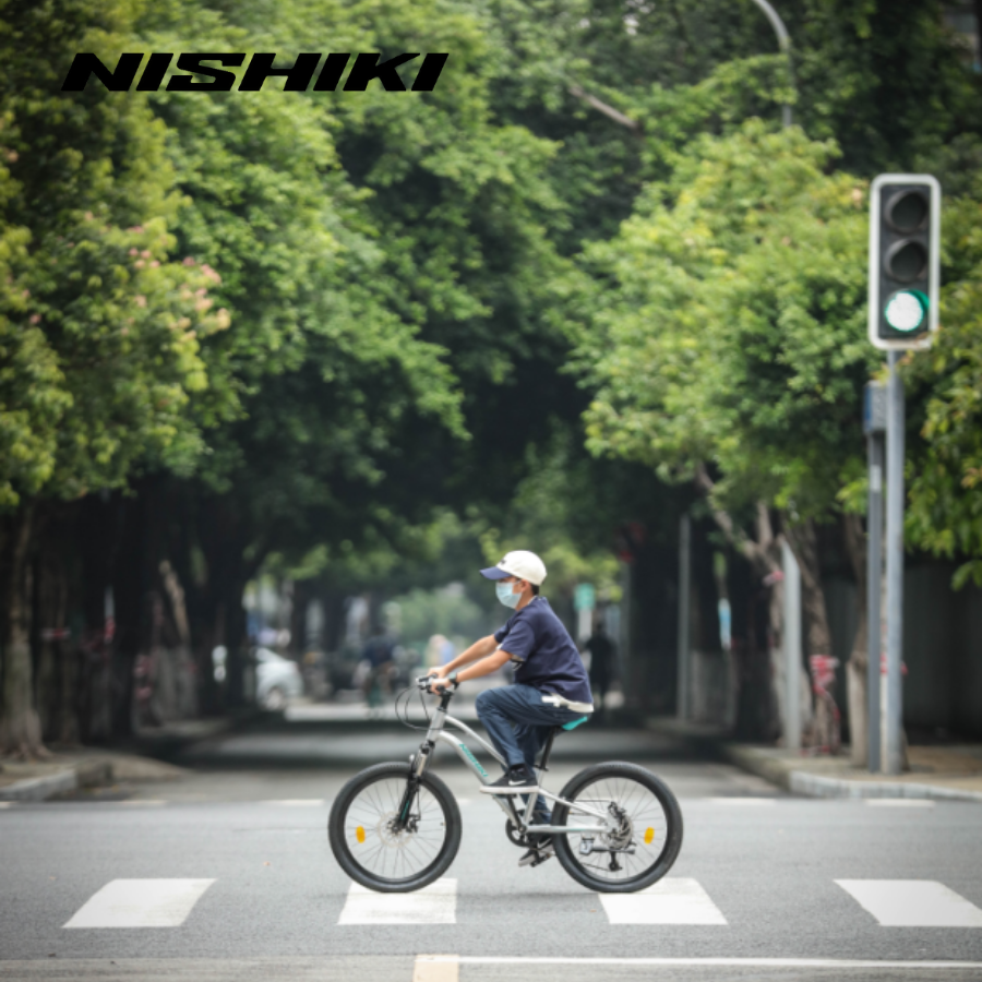 Xe dap tre em Agile 13 Xe dap tre em Agile 13