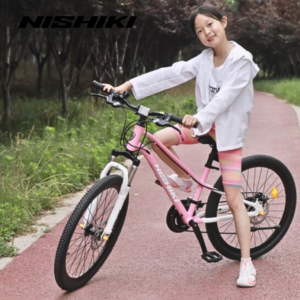 Xe dap tre em Agile 2