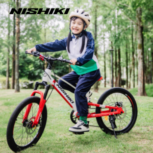 Xe dap tre em Begin 4