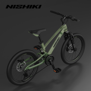 Xe dap tre em Begin 6