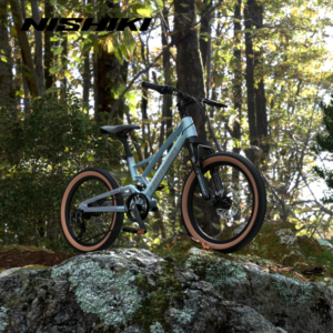 Xe dap trt rm Jerry 9