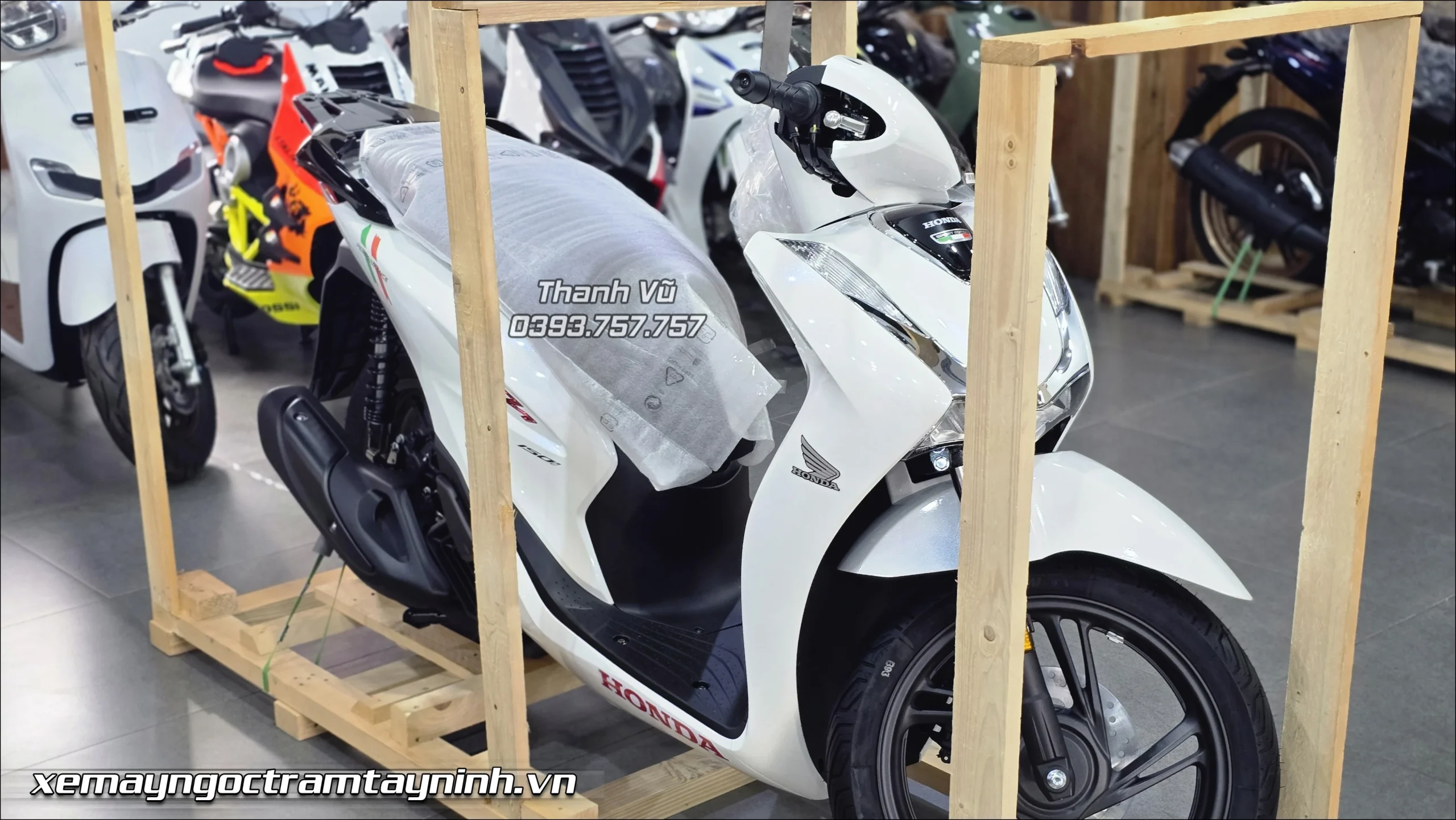 Honda SH Y 150i trang ngoc trai 21 scaled