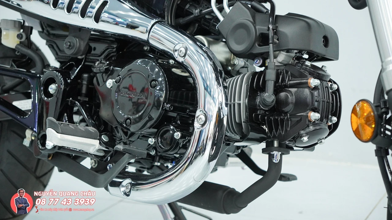 Honda Dax Royal Limited Edition %E2%80%93 bieu tuong mini bike hoang gia cho nguoi choi xe sanh dieu 59