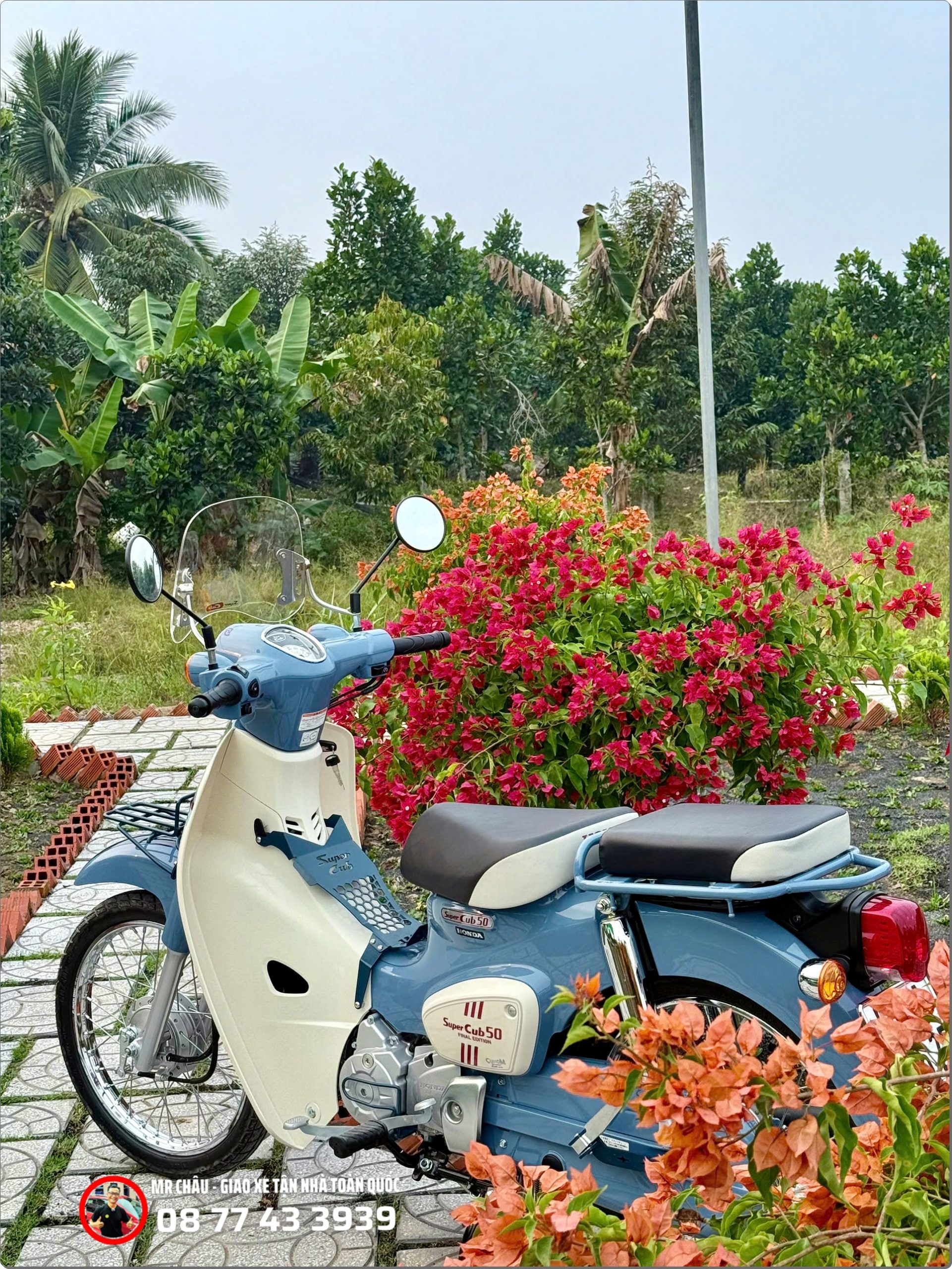 Nong dan miet vuon lai Honda Super Cub 50 Final Edition mua thu hoach sau rieng mit%E2%80%A6 %E2%80%93 Khi bieu tuong Nhat Ban hoa vao nhip song mien que Viet 12 scaled