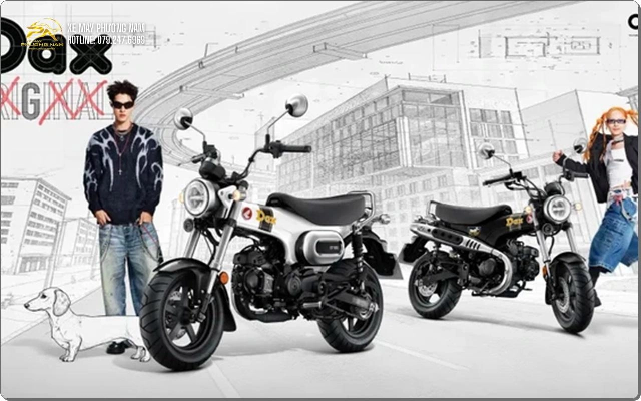Honda Dax OG White