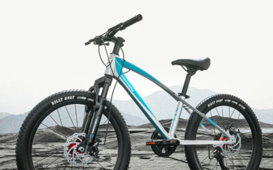 Xe đạp Nishiki (915 x 570 px) (1)