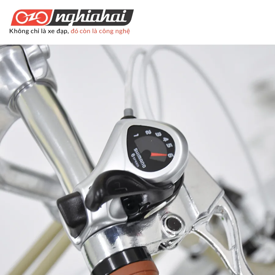 Xe đạp thể thao Triangle MX (13)