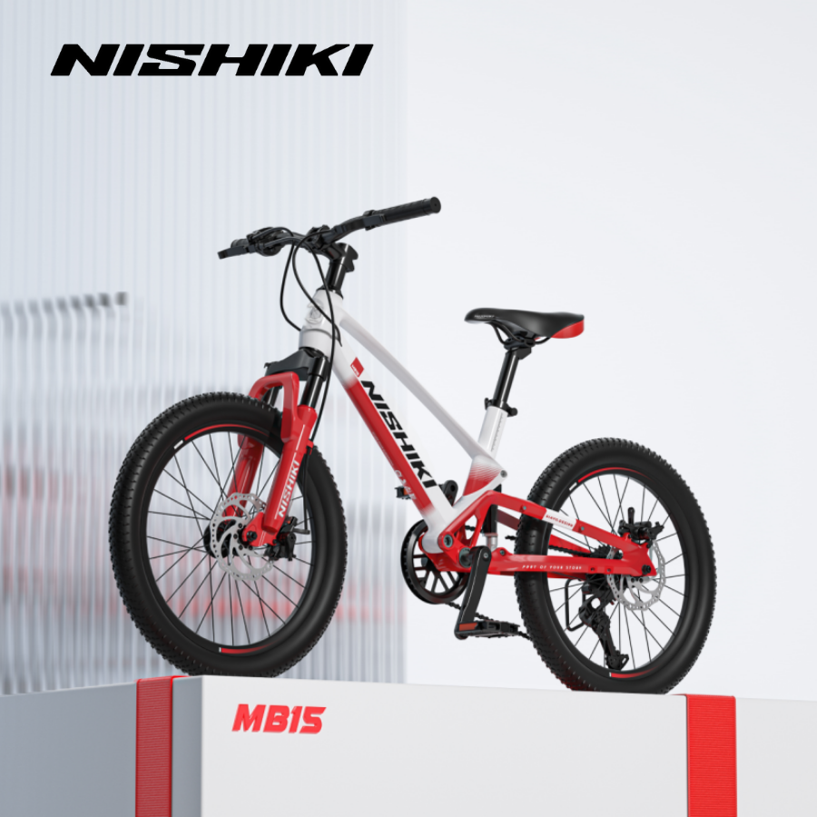 Xe-dap-tre-em-Begin-5