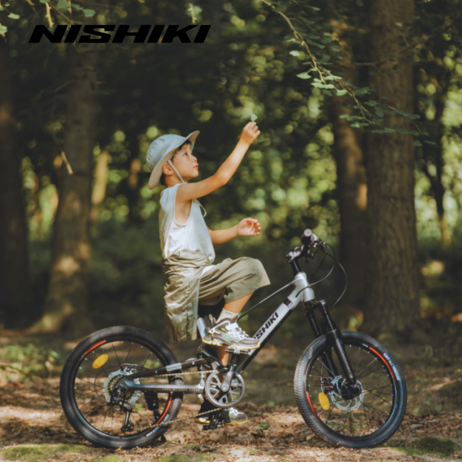 Xe-dap-tre-em-Begin-7