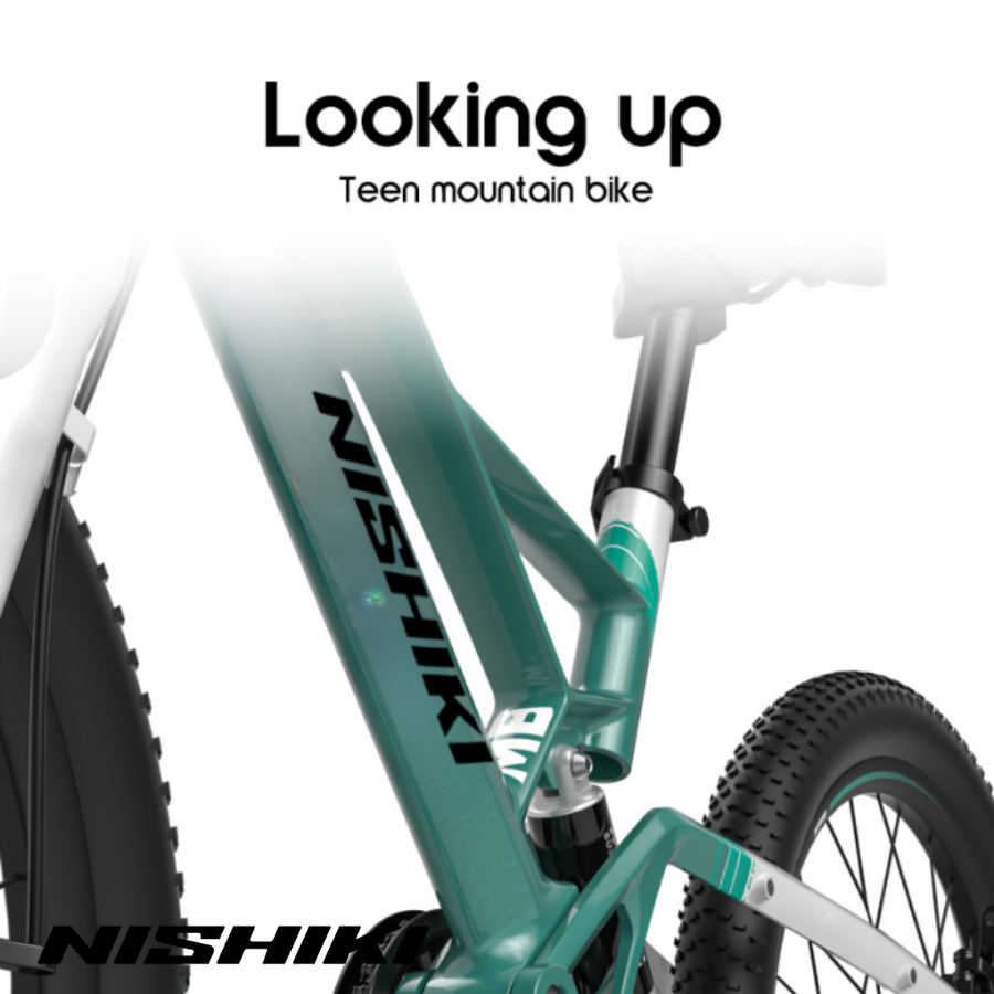 Xe-dap-trt-rm-Jerry-14