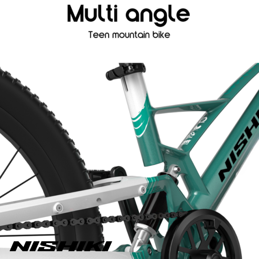 Xe-dap-trt-rm-Jerry-17