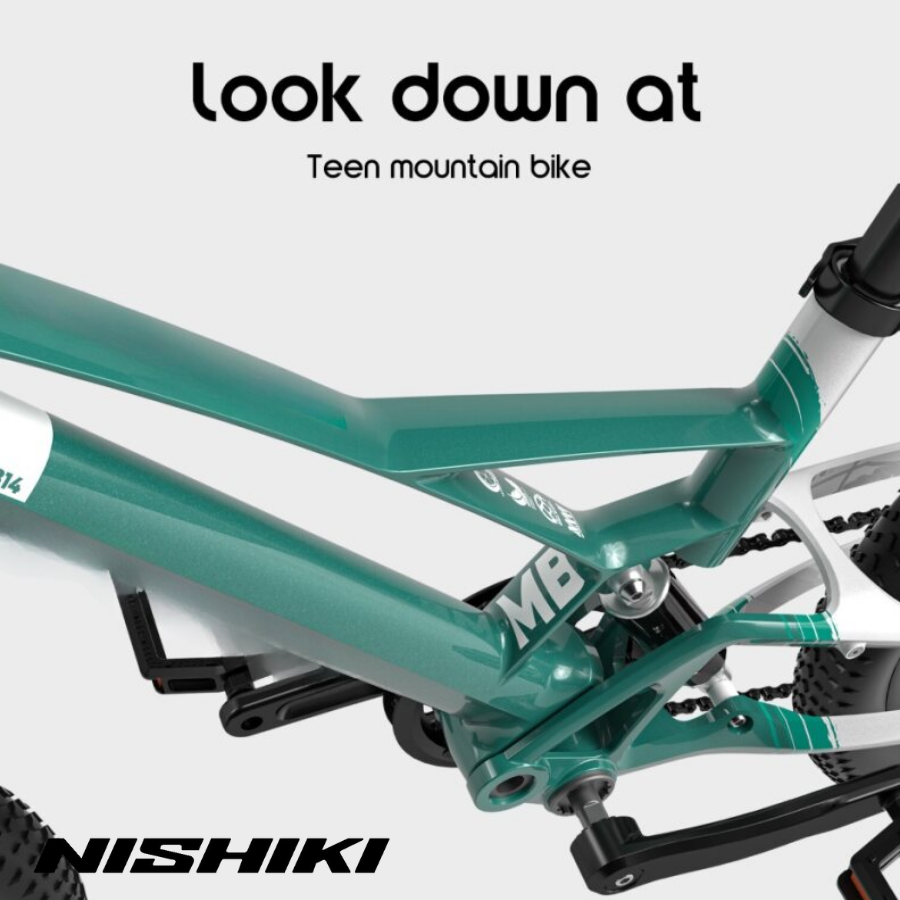 Xe-dap-trt-rm-Jerry-18