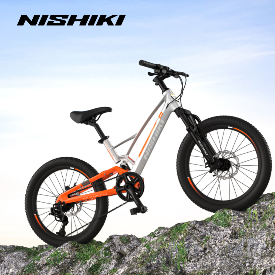 Xe-dap-trt-rm-Jerry-2