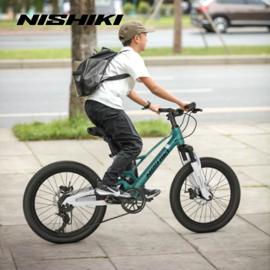 Xe-dap-trt-rm-Jerry-8