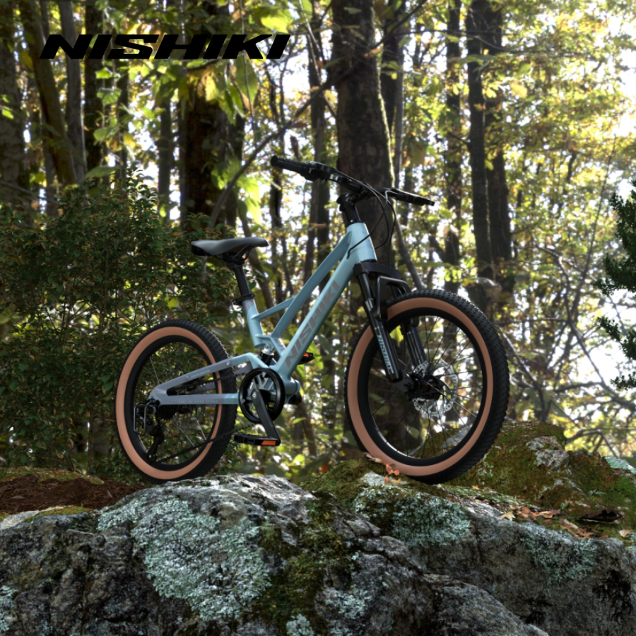 Xe-dap-trt-rm-Jerry-9