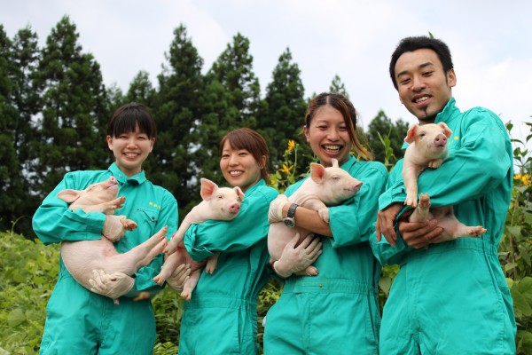 Đơn hàng chăn nuôi lợn xuất khẩu lao động Nhật Bản – Hotline: 02422466366