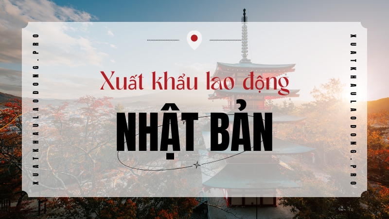 Xuat khau lao dong dieu duong ho ly Nhat Ban va Duc nam 2023 Nen di nuoc nao 02